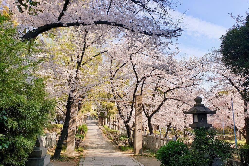 Villa Pola Inn道頓堀店黒門市場道頓堀心斎橋徒歩エリアファミリー旅行最適 *